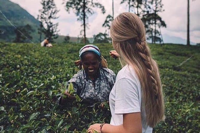 Best Kandy & Nuwara Eliya Highland Tour from Colombo