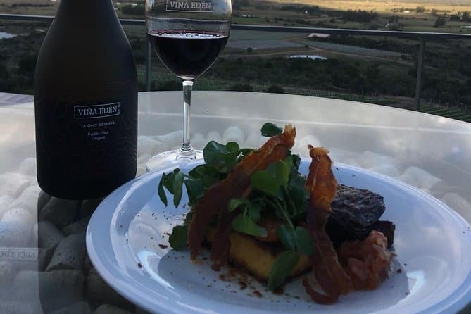 Premium Wine Tasting Experiences at Viña Eden, Punta del Este