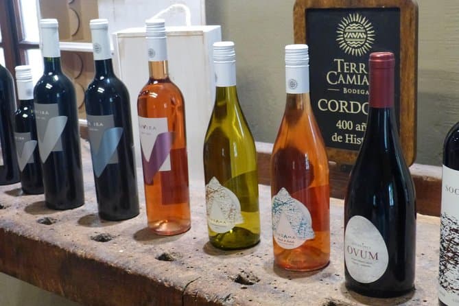 Colonia Caroya Wine Tour