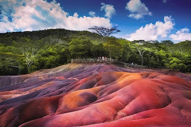 Tropical South-West: Full-day All Inclusive tour (Visit 3 parks)