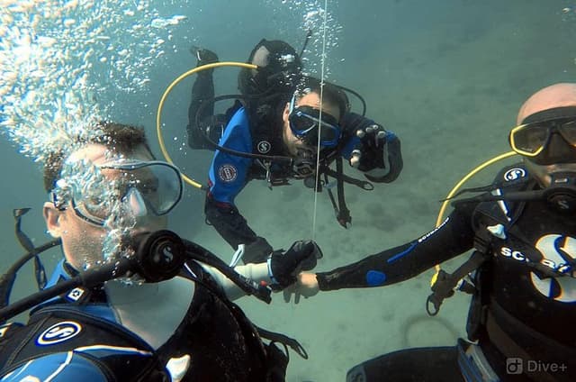Double Shore Dive (certified divers)