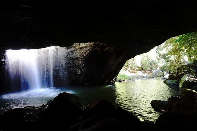 Kangaroos, Rainforest & Waterfalls Experience - Small Group