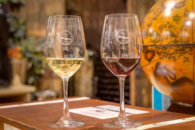 PRIVATE Walking Tour with Lunch and Wine Tasting by a Sommelier