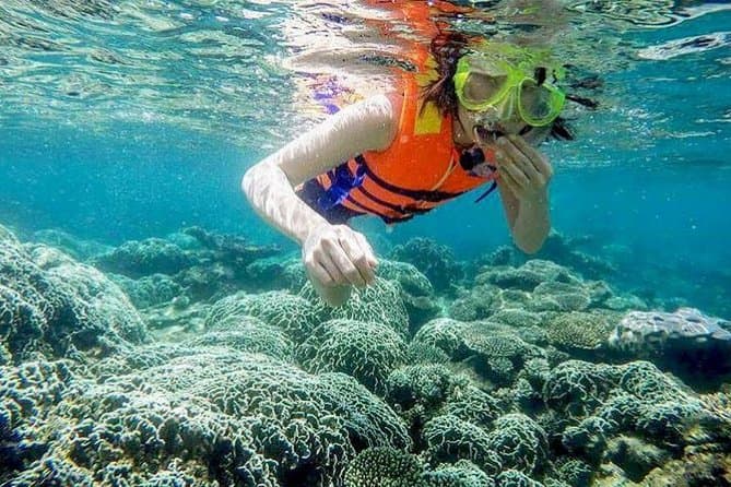 Best Vinh Hy Bay Snorkeling Tours in Phan Thiet