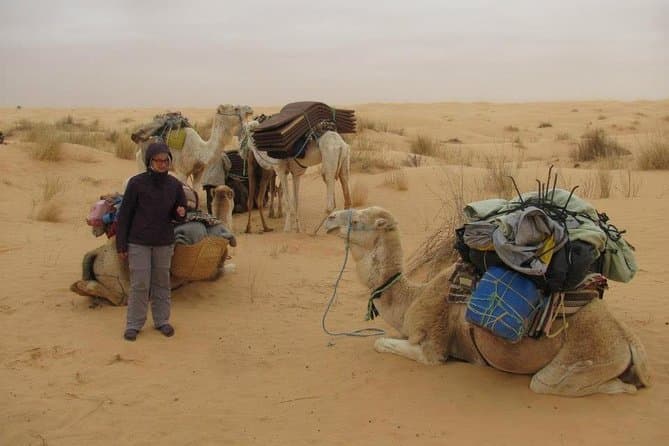 Explore the Magic: Tozeur Sahara Desert Safari Adventures