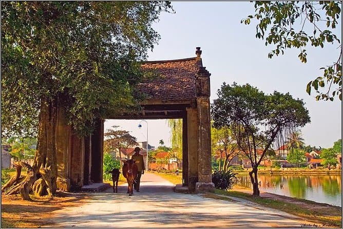 Authentic Duong Lam Ancient Village Day Trips from Hanoi