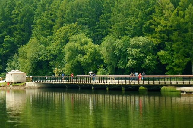 Private Day Tour to Changchun Jingyue Pool with Buffet Dinner