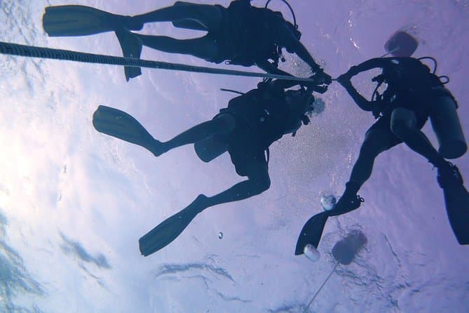 Compare AOWD Diving Tours in KK