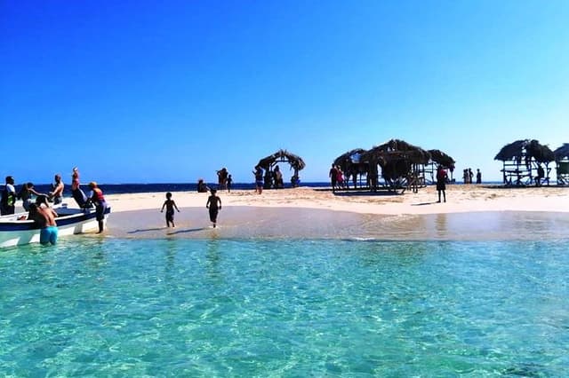 Paradise Island & Mangroves Tour