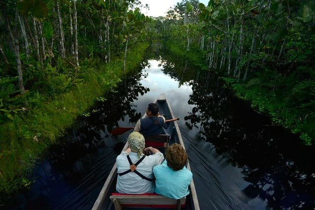 Tour Amazon Yasuni 5D - 4N