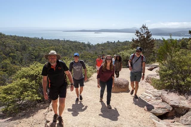 Launceston to Hobart via Wineglass Bay - Active Tour