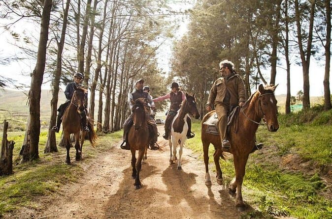 Best Stanford Mountain Bike Tours & Trails