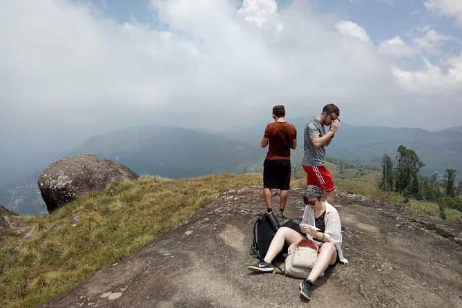 Best Half Day Treks in Munnar: Explore Tea Gardens & Hills