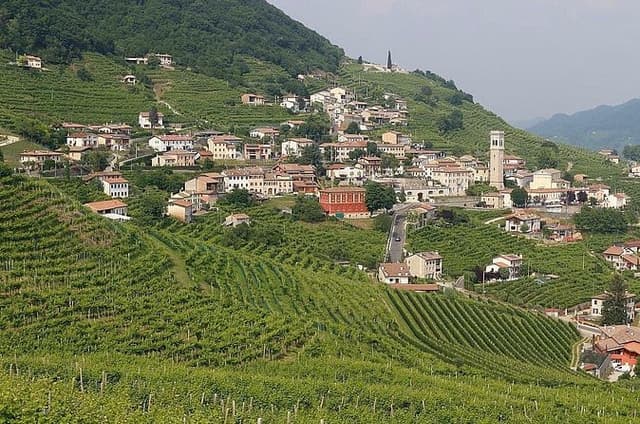 Prosecco region cellar visit, wine tasting, Palladian Villa, medieval village