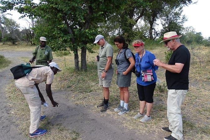Unforgettable Rhino Walking Safari in Livingstone, Zambia