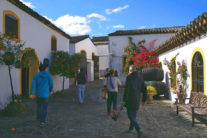 Authentic Sherry Tasting & Jerez City Wine Tour Experience