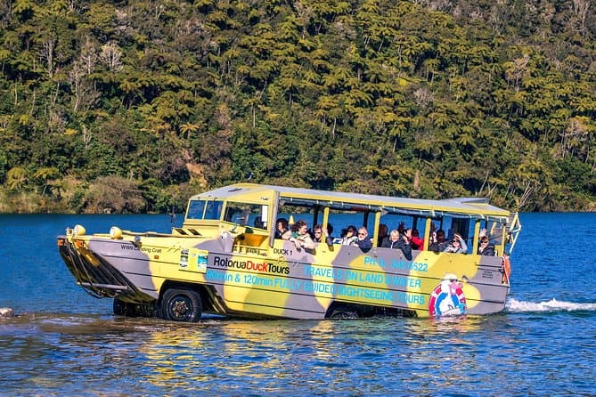 Top-Rated Lake Rotorua Jet Boat Tours & Adventures
