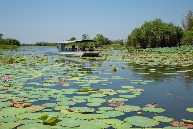 Compare Top Darwin River & Bush Tucker Cruises