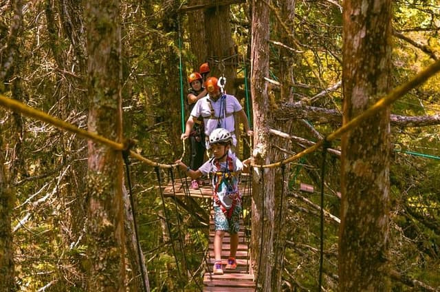 Arborismo in Horto Florestal - Campos Do Jordão