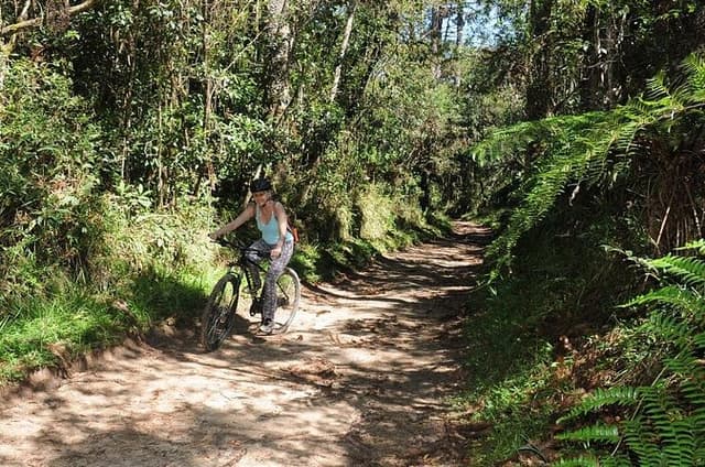 Bicycle rental in Horto Florestal - Campos do Jordão