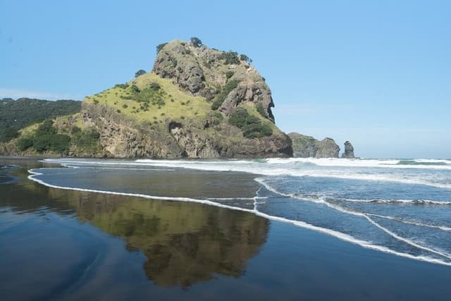 Coast and Rainforest Eco-Tour from Auckland with Picnic Lunch