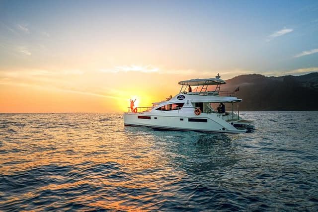 VipDolphins Luxury Whale Watching