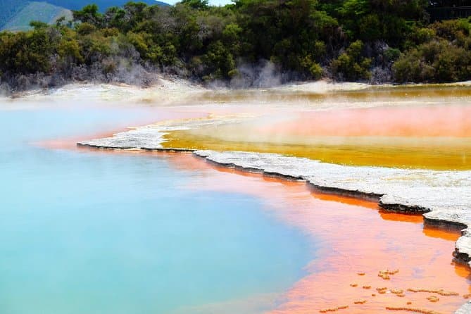 Rotorua Geothermal Tour