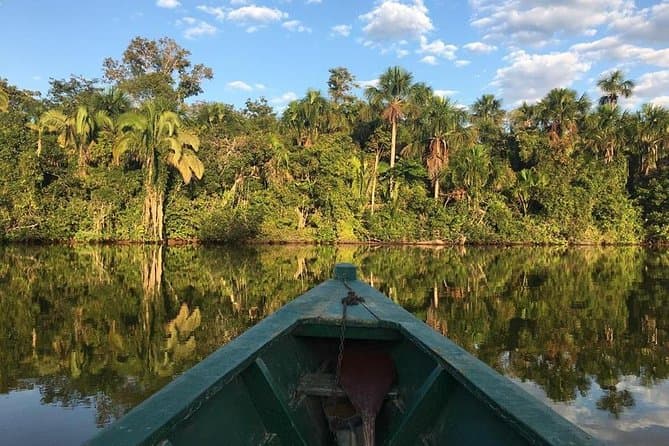 Sandoval Lake Full Day: Ultimate Amazon Wildlife Tour