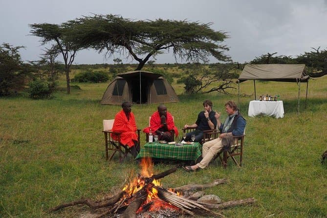 Nairobi Wildlife Safari: Lions & Icons Close to Town