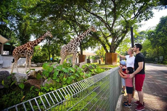 Private Tour to Kuala Lumpur Most Iconic Animal Attractions