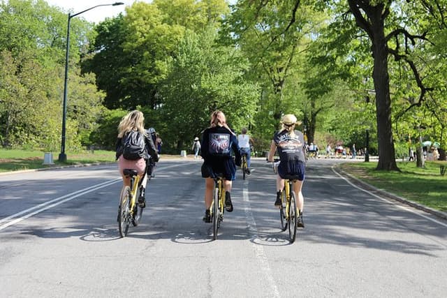 Highlights of New York City Guided Bike Tour (English or Dutch)