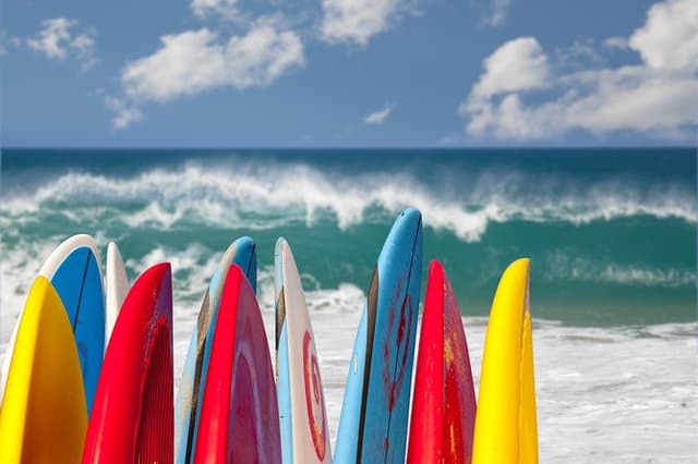1.5-Hour Surf Lesson in Santa Monica