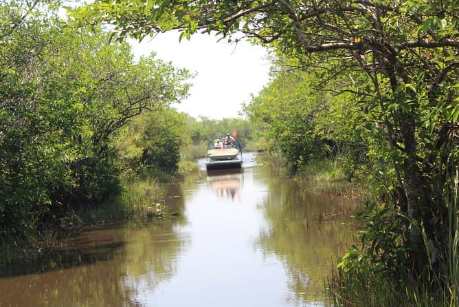 Best Everglades Airboat Rides & Miami City Tours