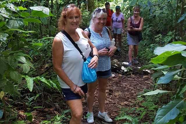 St Kitts Half-Day Rainforest Tour