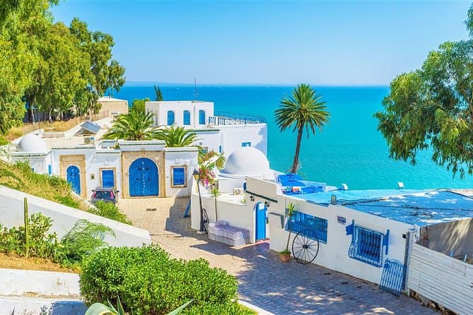 Best Carthage & Sidi Bou Said Day Trip from Hammamet