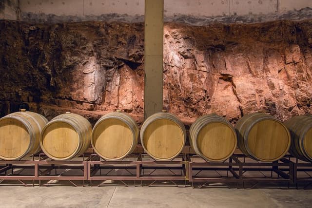 Guided Tour of the Winery Viña Edén