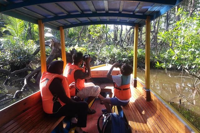 Proboscis Monkey Tour (Private)