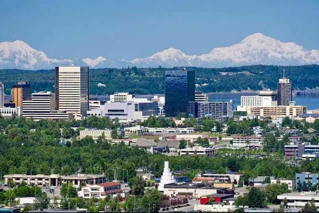Alaska Wildlife Visit and Glacier Cruise Adventure