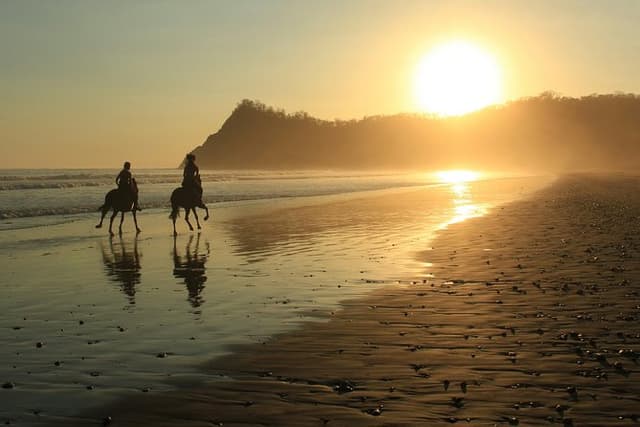 Safari & Buenavista Beach Horse Riding Tour