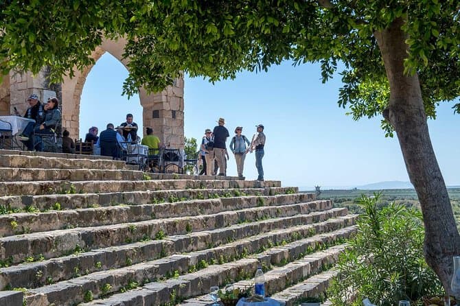 Jerash, Ajloun & Umm Qais Tour