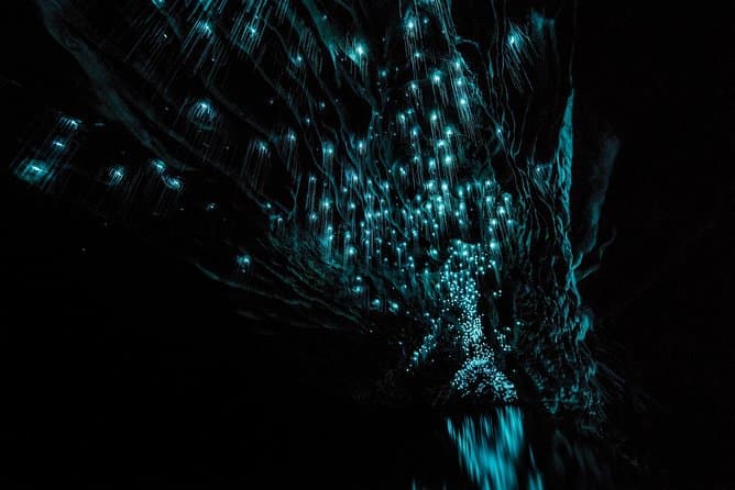 Best Waitomo Caves Day Trips from Auckland