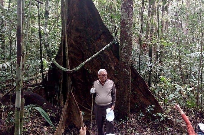 Best Amazon Survival Tours in Manaus