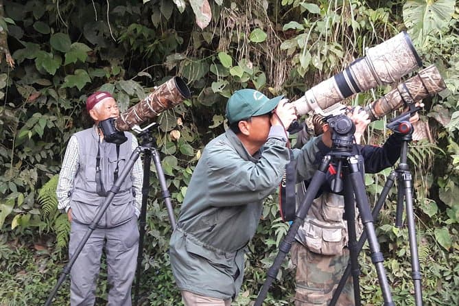 Best Mindo Birdwatching Tour: Explore Cloud Forest Wonders