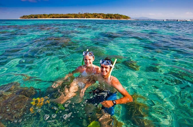 Compare Top-Rated Green Island Day Trips