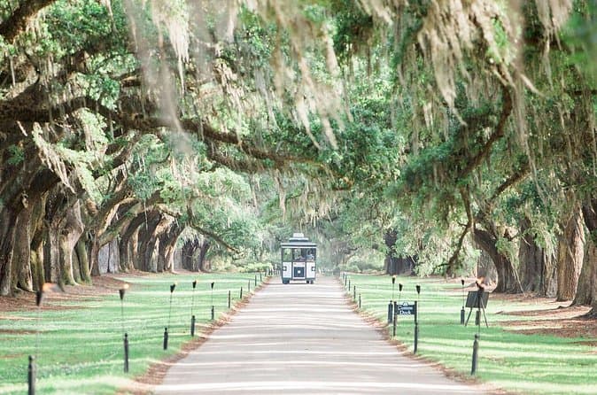 Explore Historic Boone Hall Plantation Tours