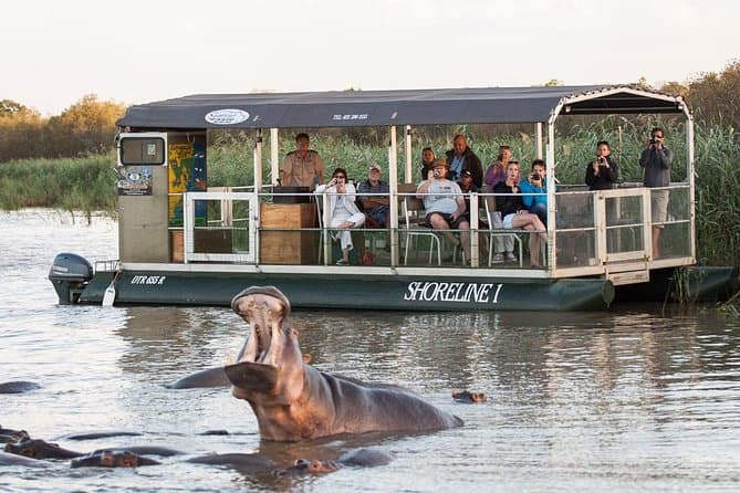 Best Hippo & Croc Safari Tours in St Lucia