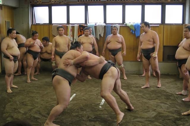 Tokyo Ryogoku Sumo Morning Practice + Photo Shoot with Wrestlers
