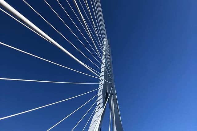 Rotterdam Architecture Highlights Walking Tour