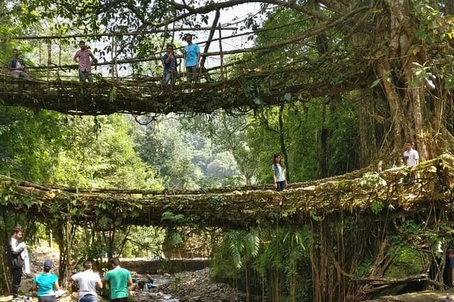 6D/5N Assam & Meghalaya