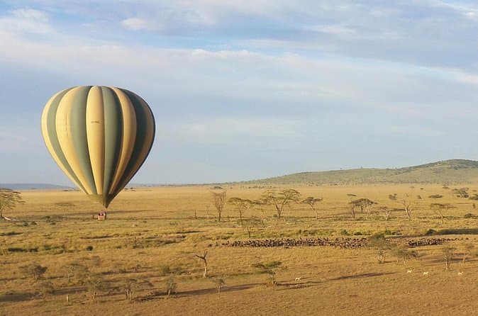 Best Ngorongoro Crater Tours from Serengeti